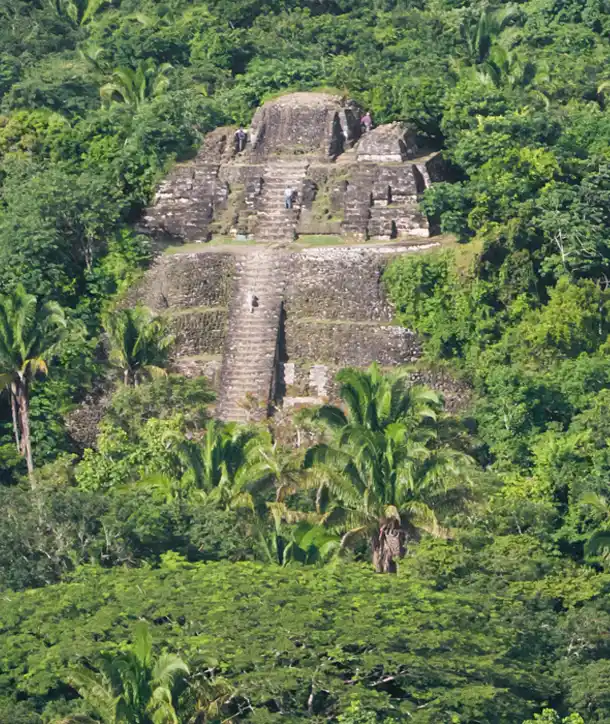Ancient ruins in Belize in a green forest.