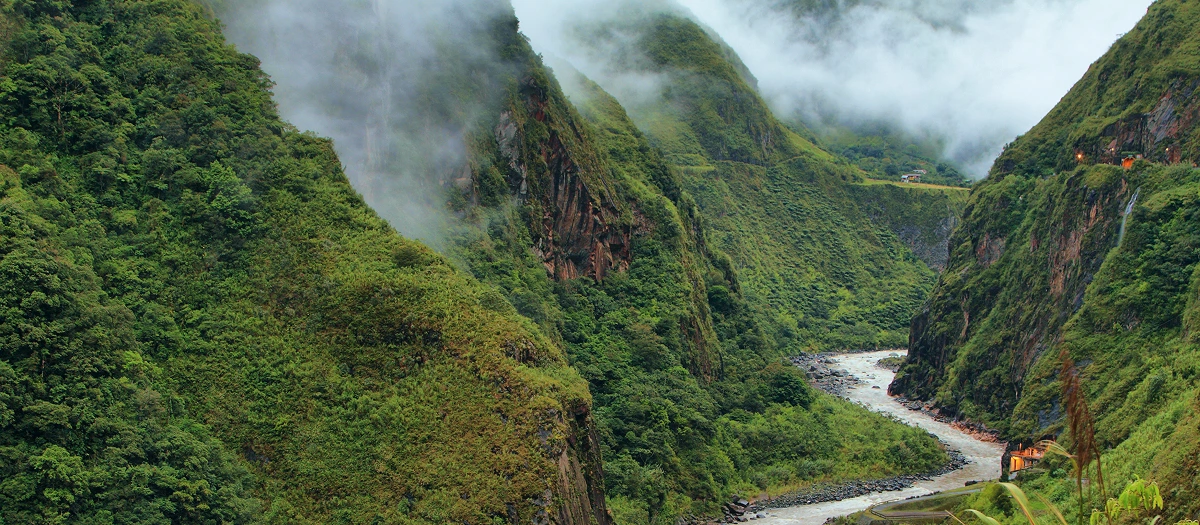 River winding through a misty green gorge in Ecuador on a reforestation and conservation tour.