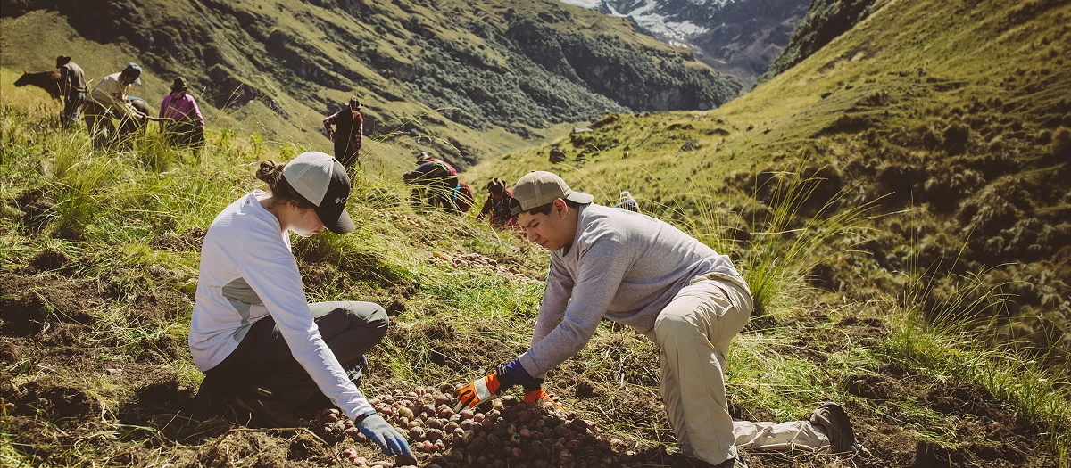 Community development service learning in Peru's Sacred Valley.