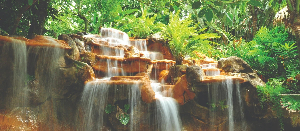 Costa Rica rainforest waterfall cascading over rock terraces on the Discover Costa Rica tour.