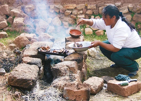 Experience a traditional fiesta gaucha on the pampas, with horseback shows, folk music, and a taste of Argentina’s countryside culture