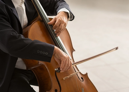 Experience an evening of classical music in the city that helped shape Mozart, Beethoven, and Strauss