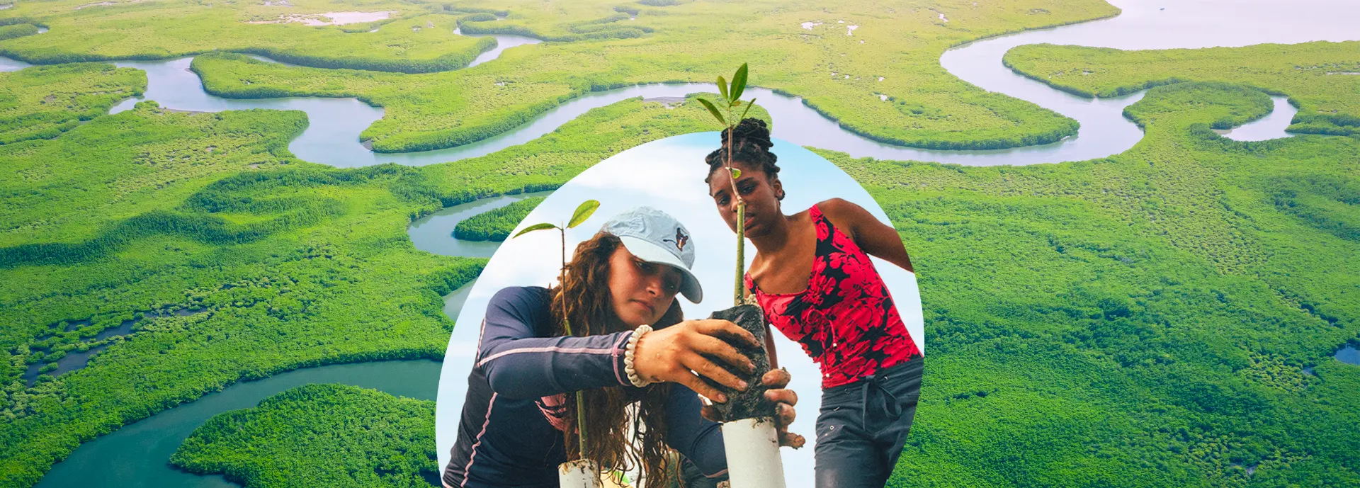 two responsible travelers planting mangroves