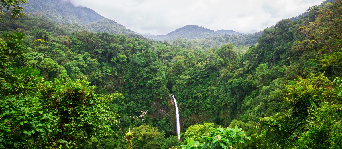 Waterfall in a jungle in Costa Rica.
