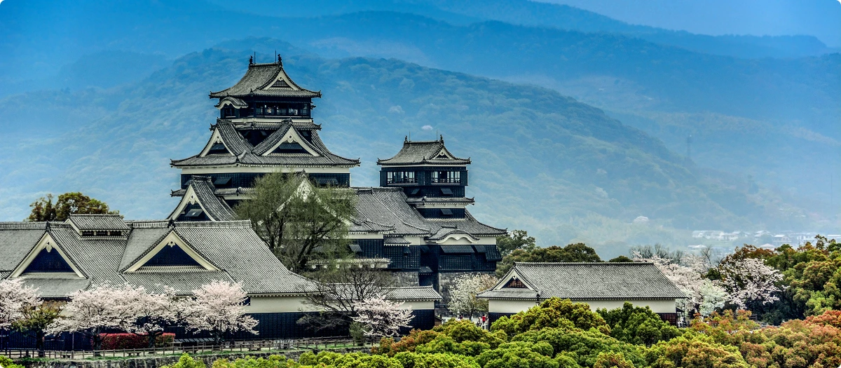 Kumamoto Castle with cherry blossoms in Japan.