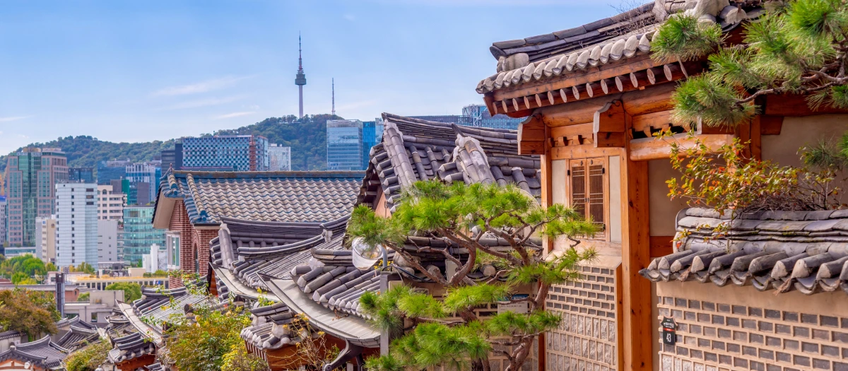 N. Seoul tower and rooftops in seoul, south korea