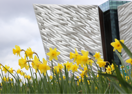 Visit the Titanic Museum and uncover the story of the iconic ship, the city that built it, and the people connected to its legacy
