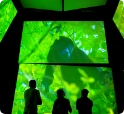 Students at in interactive animal exhibit on a STEM trip. A connection with animals is just one benefit of STEM travel.