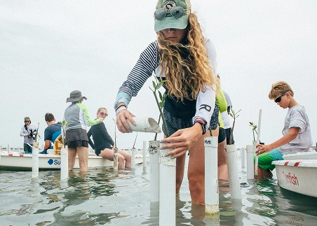 Get your hands in the soil as you replant mangroves and help protect the coastal forests that shelter marine life