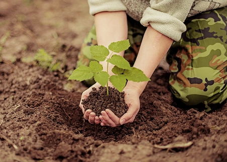 Work alongside community members on reforestation and sustainability projects, like assisting in plant nurseries