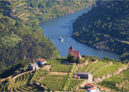 Cruise through the Douro River Valley and discover how geography and generations of winemaking have defined this beautiful region