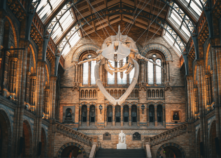 Discover how science helps us understand the Earth’s past across millions of years at London’s Natural History Museum