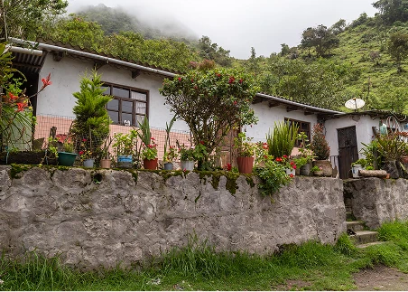 Visit Yunguilla to experience a thriving sustainable community in action, then share a delicious meal sourced from a local garden