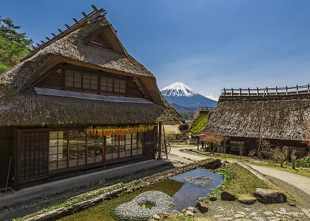 See Japan's dynamic contrasts firsthand, from Tokyo's modern cityscape to the preserved traditions of Takayama