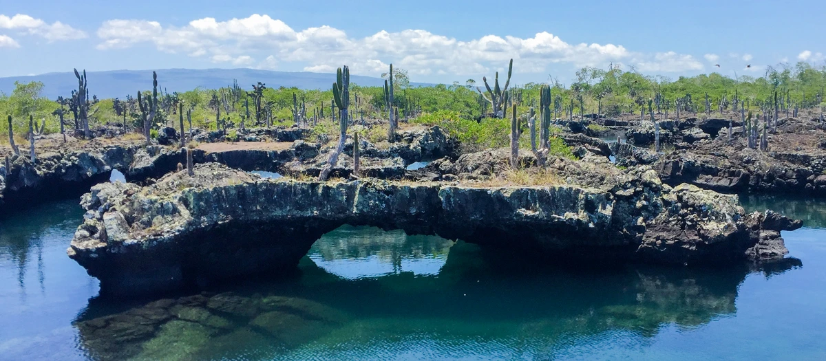Cactuses and ocean in Ecuador.