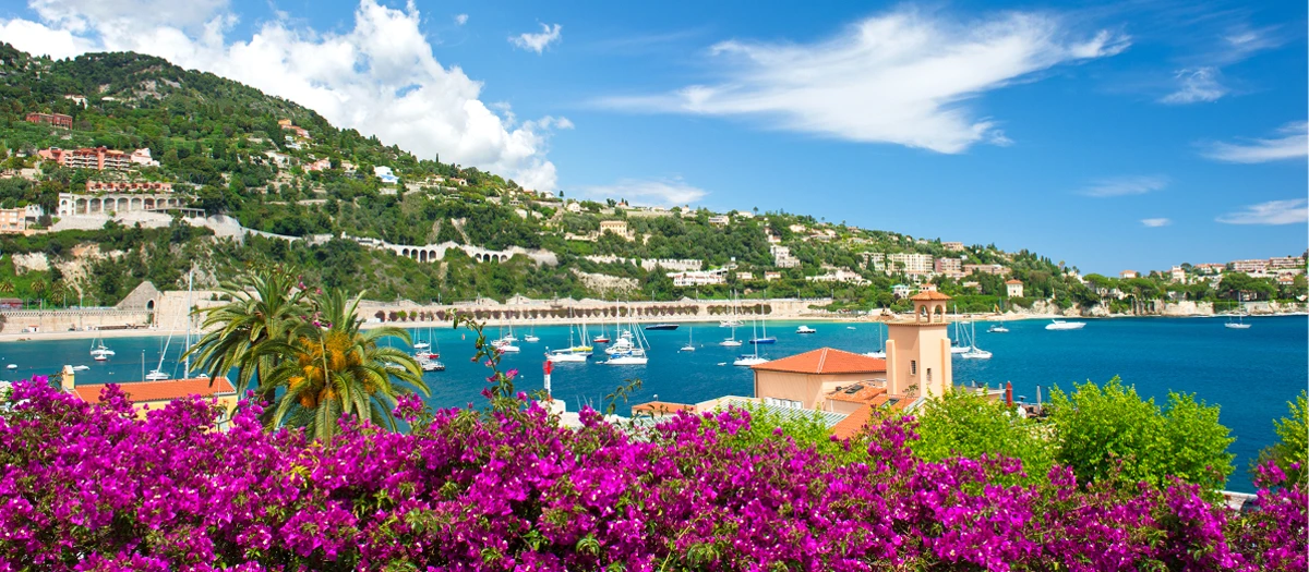 Bougainvillea framing a French Riviera bay of yachts on Paris, French Riviera and Rome tours.