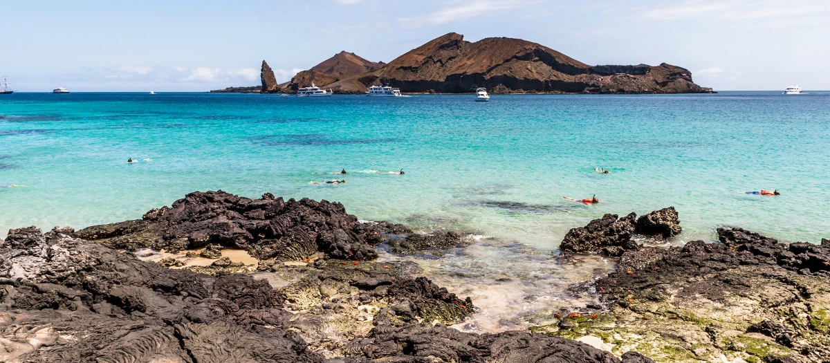 Volcanic shoreline and snorkellers in turquoise water on a Galapagos Islands educational tour.