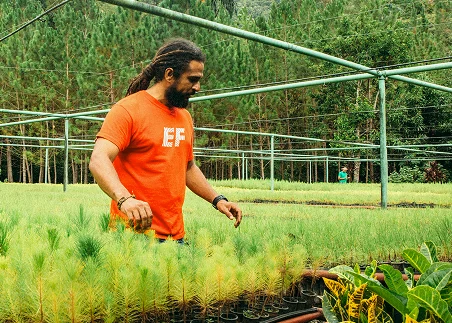 Work alongside community members on hands-on conservation and sustainability projects, like planting trees and assisting in greenhouses