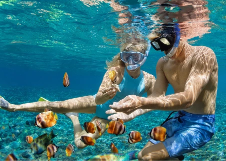 Go on a snorkeling adventure off the coast of Portobelo and admire the vibrant marine life