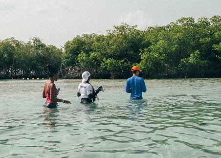 Roll up your sleeves and help restore coastal ecosystems, from replanting native vegetation to rehabilitating degraded habitats