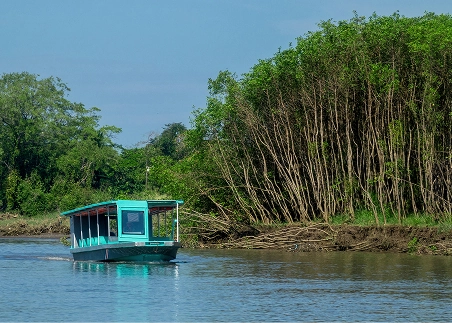 Cruise jungle waterways along the Central Pacific Coast on a crocodile safari boat ride