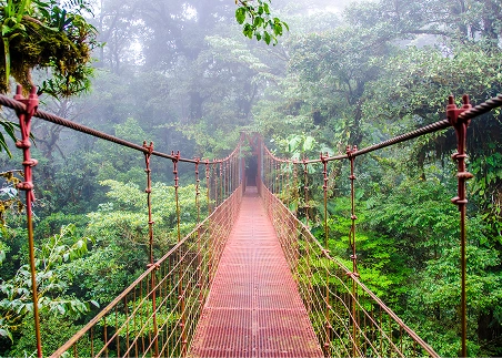 Go on a ziplining adventure through the treetops of Monteverde's legendary cloud forest