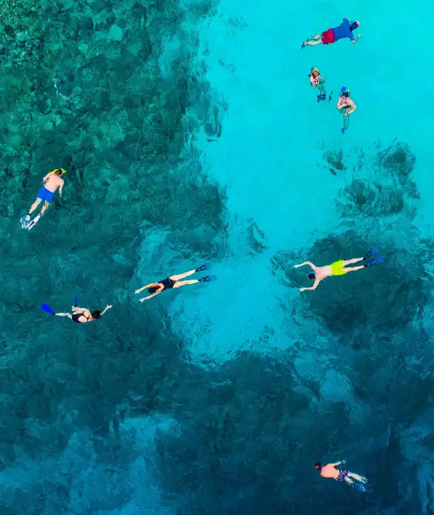 Seven swimmers exploring the reefs of Belize.