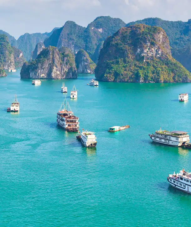 Twelve ships sailing on green waters on an EF Vietnam tour.