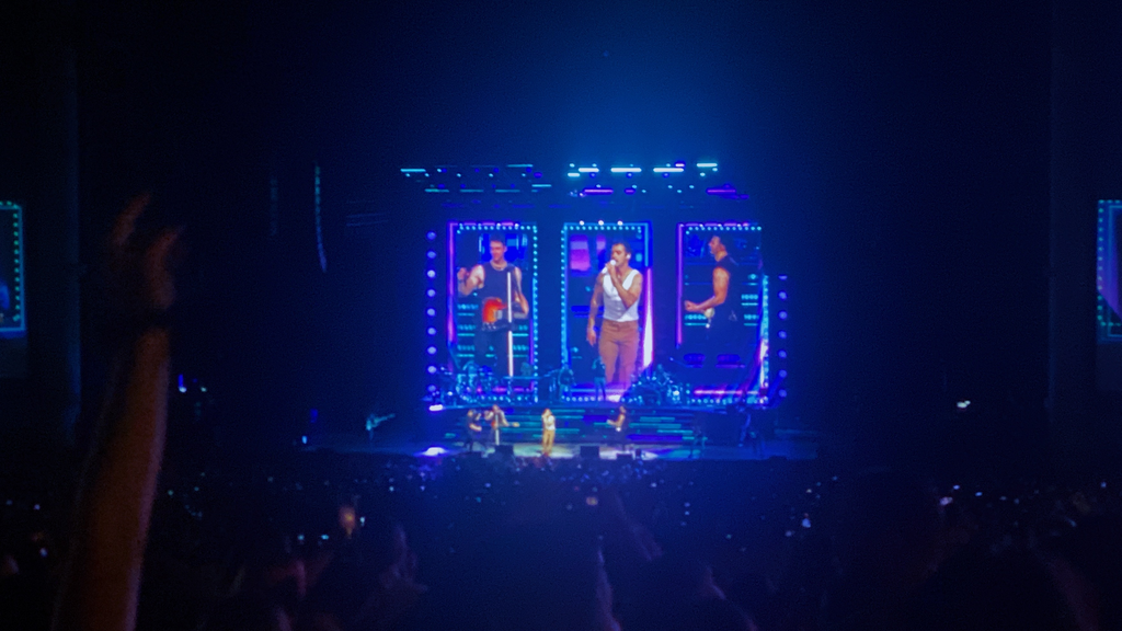 Jonas Brothers concert from lawn