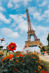 eiffel tower and flowers