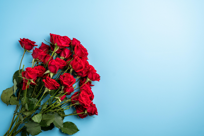 Bouquet of roses on blue background.