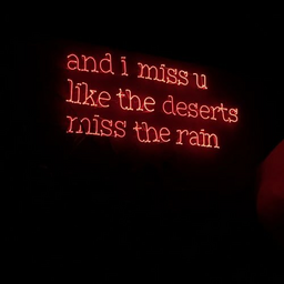 and i miss you neon sign