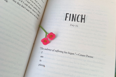 A page from the book \"All The Bright Places\" by Jennifer Niven