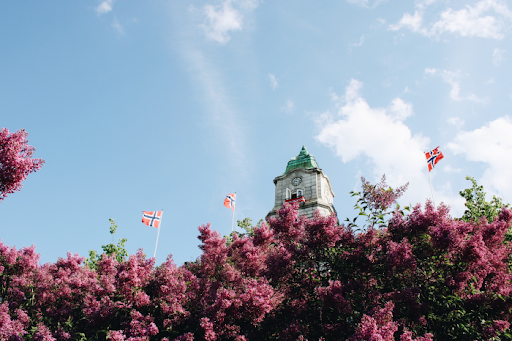 lilac bushes and Norwegian flags