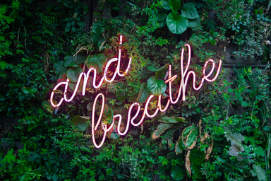 \"and breathe\" neon sign on greenery