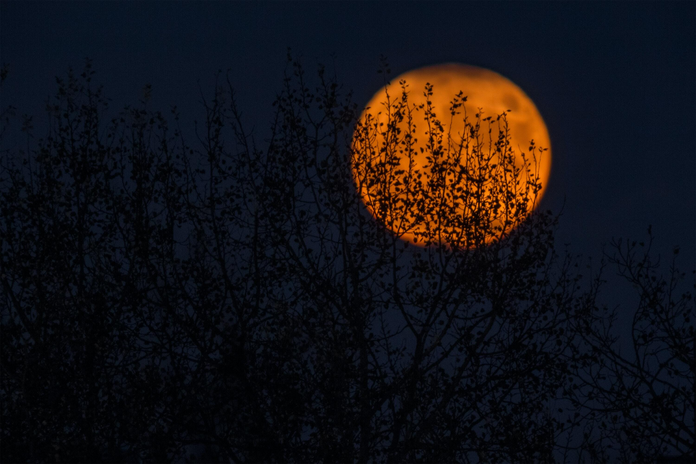 Night sky with orange Moon