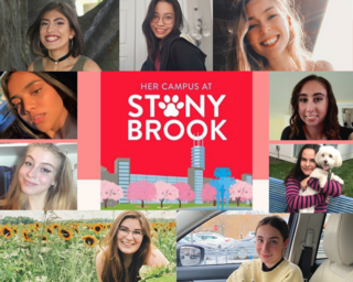 Get to know the Stony Brook Team Article
