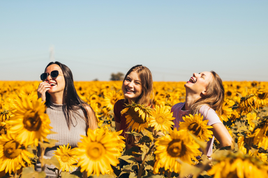 friends laughing in sunflower field