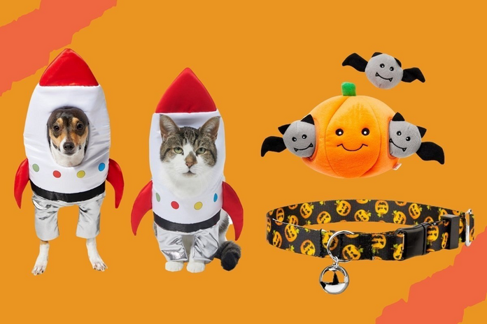 dog and  cat haloween toys