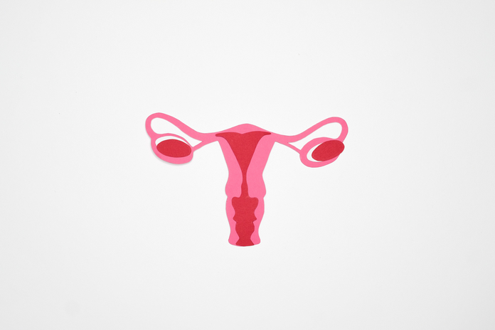 pink illustration of uterus