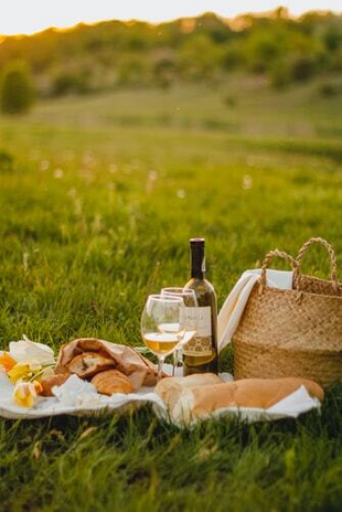 wine kind of picnic