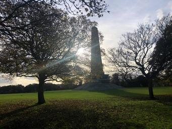Pictures of the Phoenix park in Dublin taken by the writer