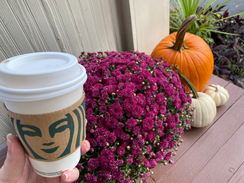 Fall Starbucks Drinks Ranked