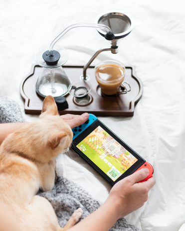person playing Animal Crossing on Nintendo Switch with cat nearby