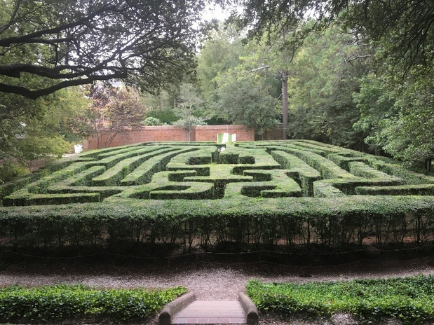 Grass Maze