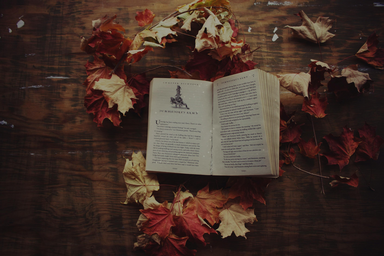 Thumbnail photo for fall with books