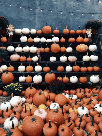 orange and white pumpkins on shelves by Jon Tyson from Unsplash