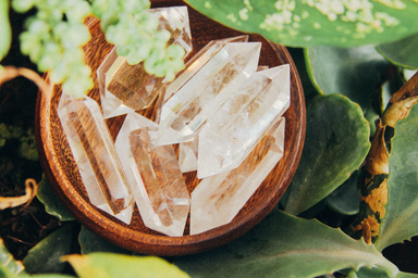 Bowl of crystals with surrounding plants