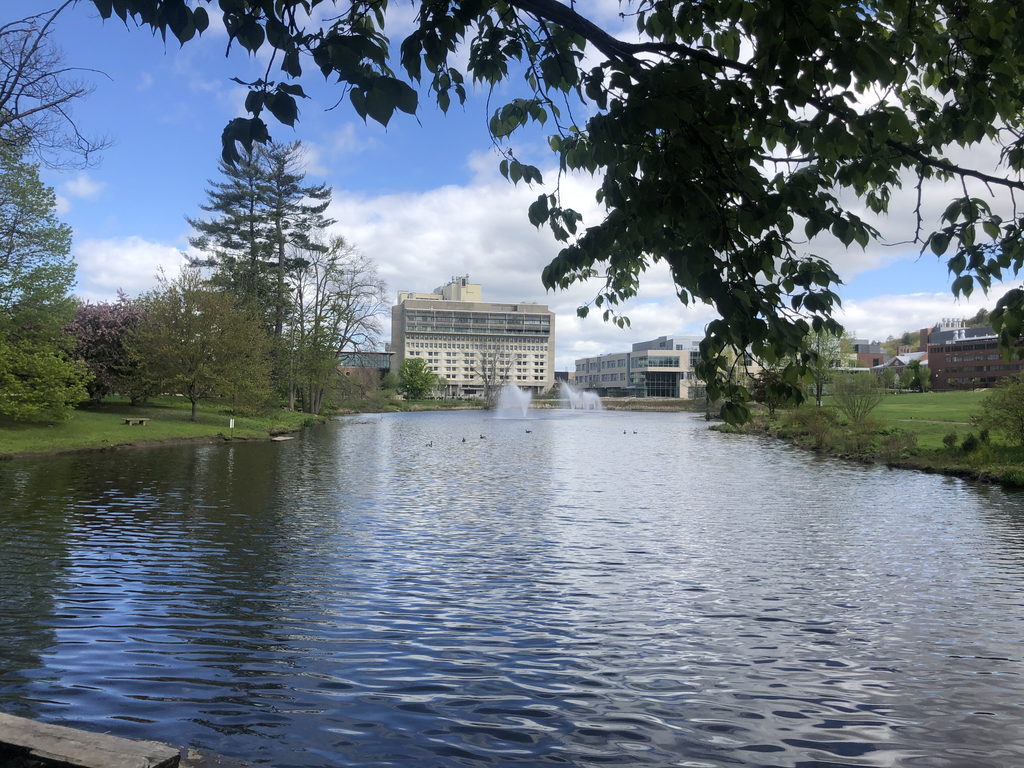 UMass Amherst campus pond