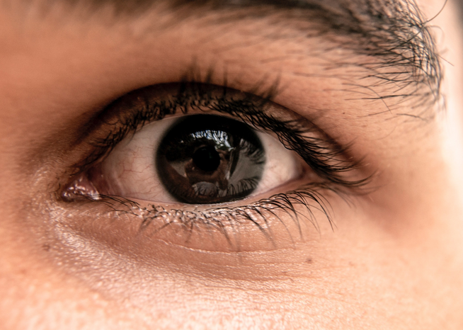 Brown eyes by Well Cabral from unsplash
